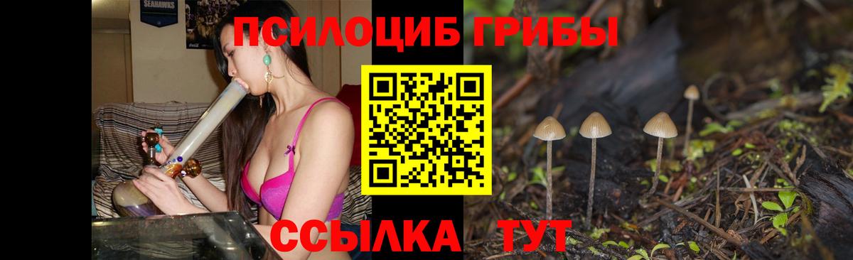 Красный Сулин  Галлюциногенные грибы Psilocybe  Вход с VPN 